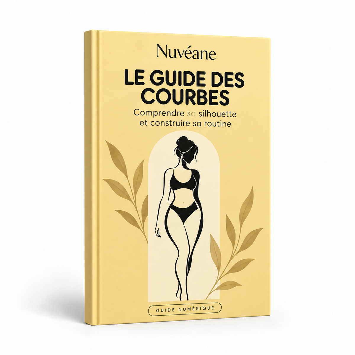 Le Guide des courbes Nuvéane — couverture française